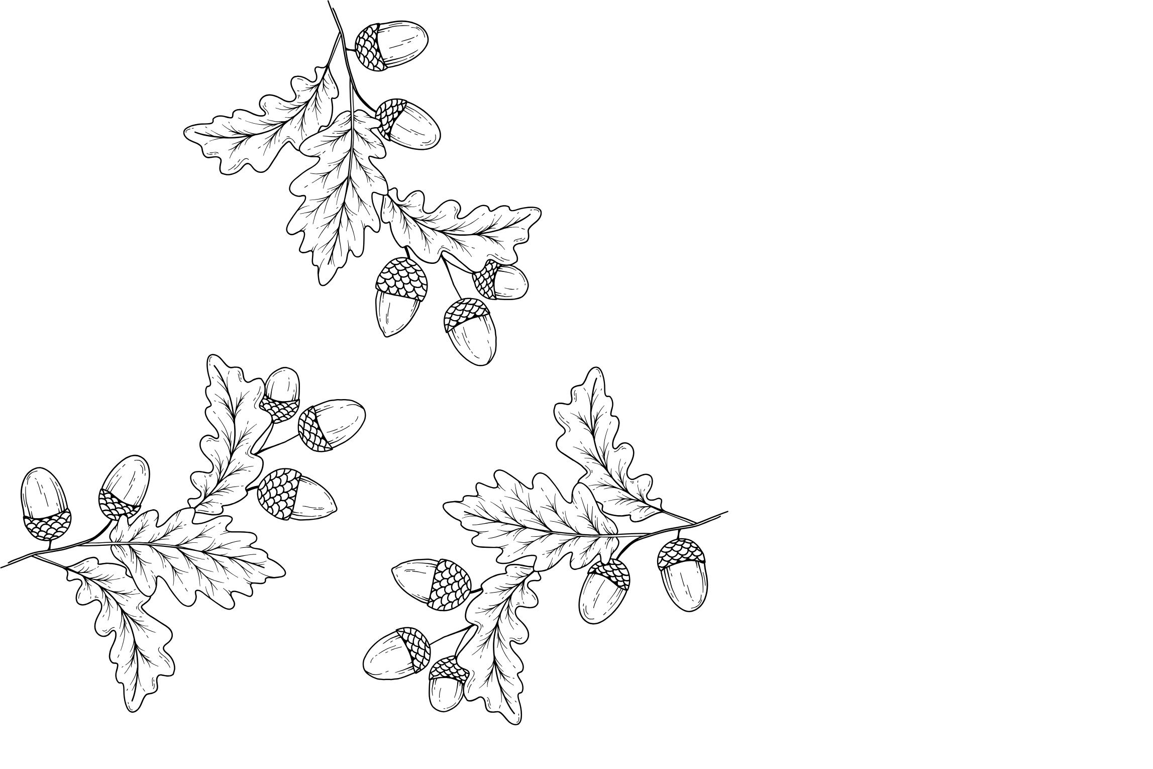 Sign up for our newsletter