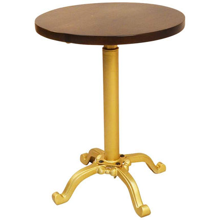 Colton 18" Wide Elm Wood and Gold Adjustable Accent Table