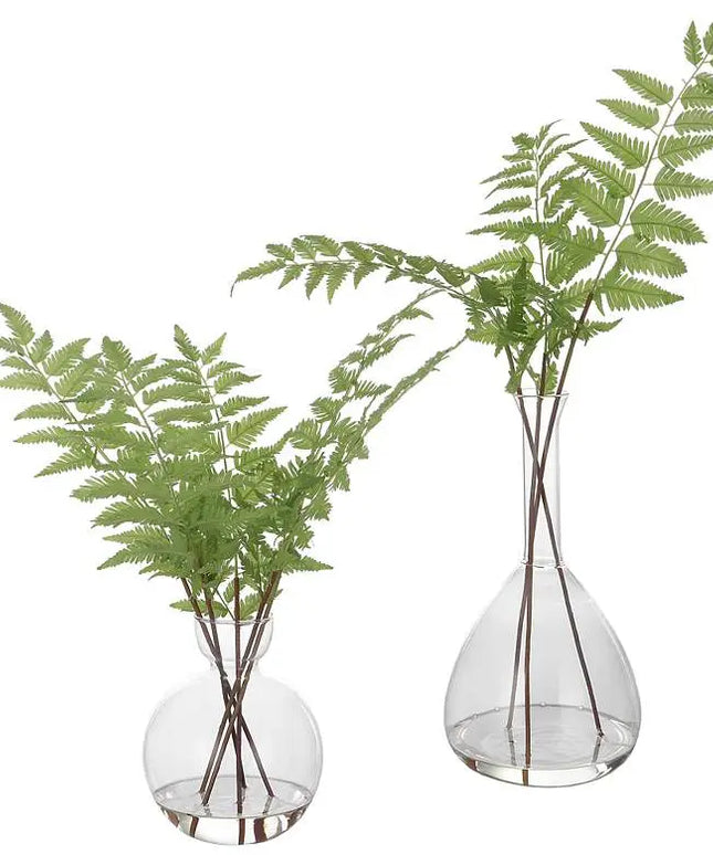 Country Green Ferns 21"H Faux Plants in Glass Vases Set of 2 Uttermost