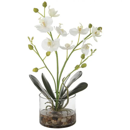 Uttermost Glory White Orchid 13"H Faux Flowers in Container Uttermost