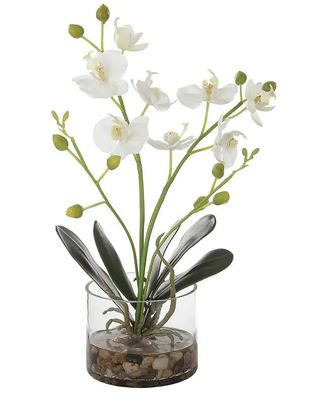 Uttermost Glory White Orchid 13"H Faux Flowers in Container Uttermost
