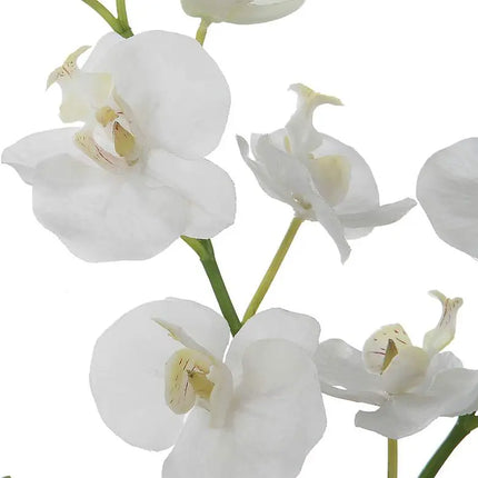 Uttermost Glory White Orchid 13"H Faux Flowers in Container Uttermost